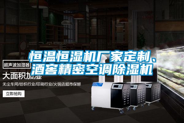 恒溫恒濕機廠家定制、酒窖精密空調除濕機