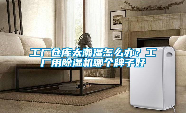 工廠倉庫太潮濕怎么辦？工廠用除濕機哪個牌子好