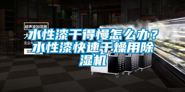 水性漆干得慢怎么辦？水性漆快速干燥用除濕機