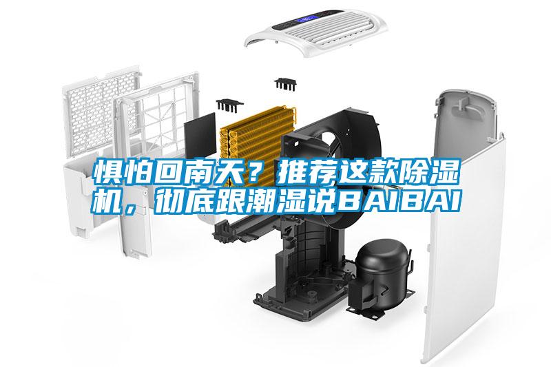 懼怕回南天？推薦這款除濕機，徹底跟潮濕說BAIBAI