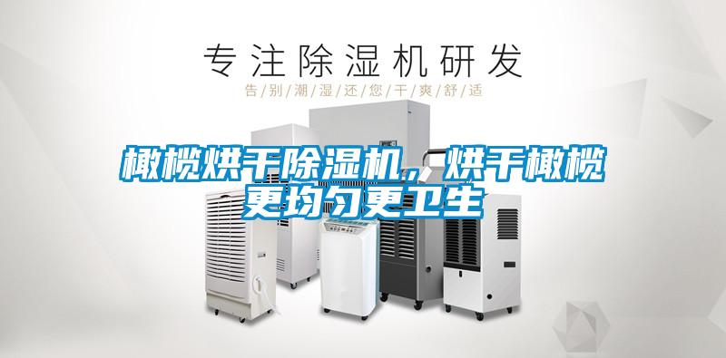 橄欖烘干除濕機，烘干橄欖更均勻更衛生