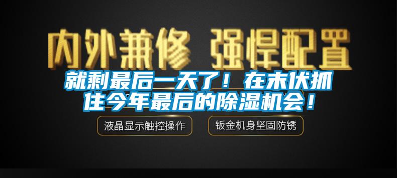 就剩最后一天了！在末伏抓住今年最后的除濕機會！