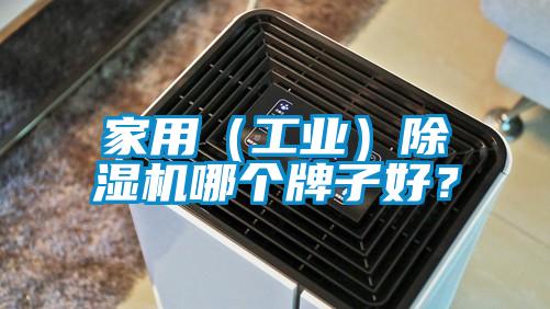 家用（工業）除濕機哪個牌子好？