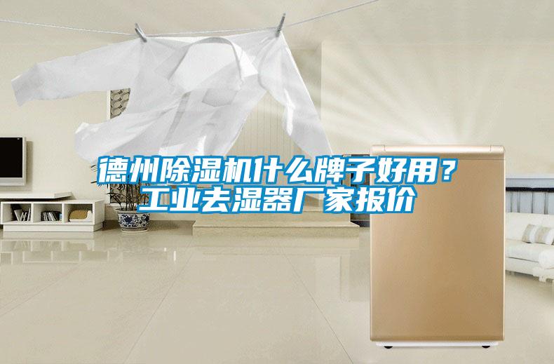 德州除濕機什么牌子好用？工業去濕器廠家報價