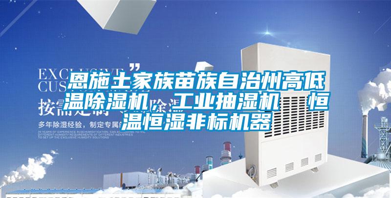 恩施土家族苗族自治州高低溫除濕機，工業抽濕機  恒溫恒濕非標機器
