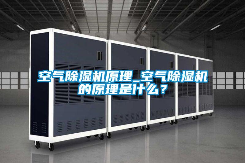 空氣除濕機原理_空氣除濕機的原理是什么？