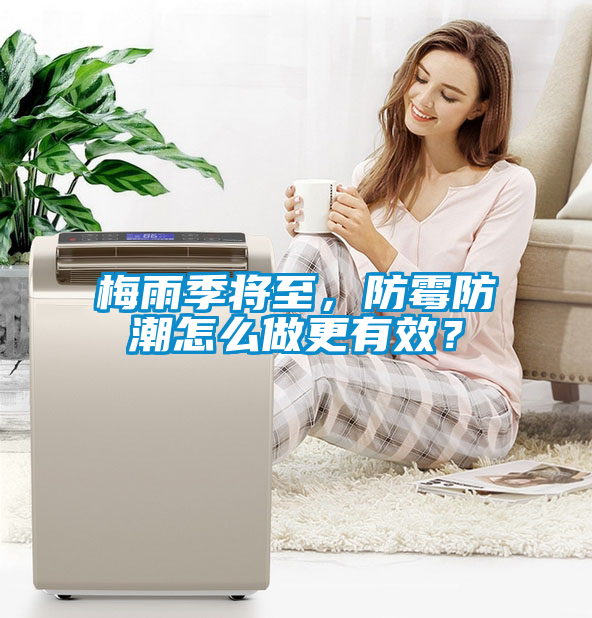 梅雨季將至，防霉防潮怎么做更有效？