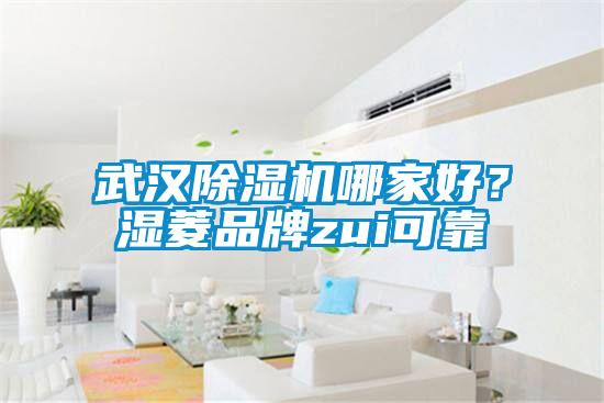 武漢除濕機哪家好？濕菱品牌zui可靠