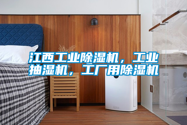 江西工業除濕機，工業抽濕機，工廠用除濕機