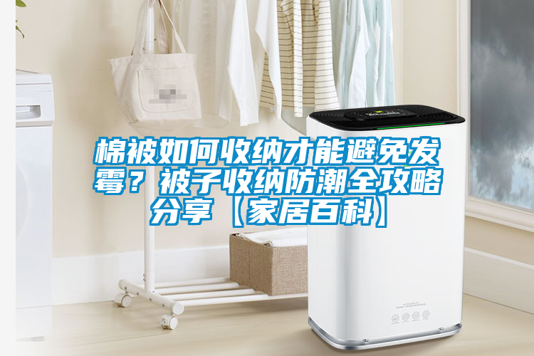 棉被如何收納才能避免發霉？被子收納防潮全攻略分享【家居百科】