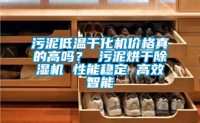 污泥低溫干化機價格真的高嗎？ 污泥烘干除濕機 性能穩定 高效智能