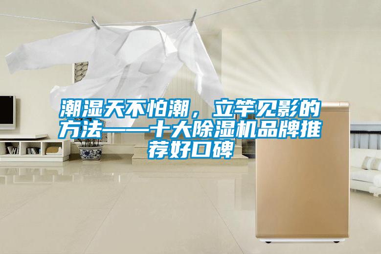 潮濕天不怕潮，立竿見影的方法——十大除濕機品牌推薦好口碑