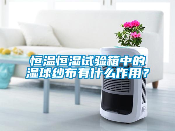 恒溫恒濕試驗箱中的濕球紗布有什么作用？