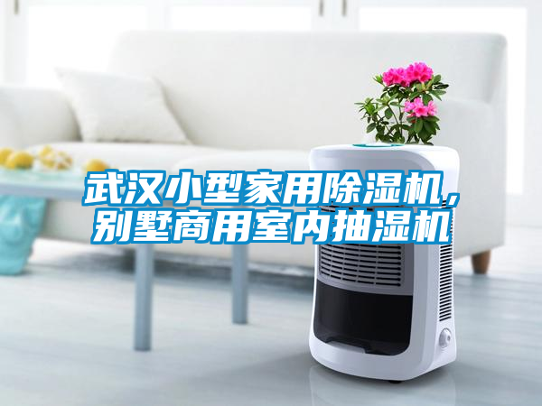 武漢小型家用除濕機，別墅商用室內抽濕機