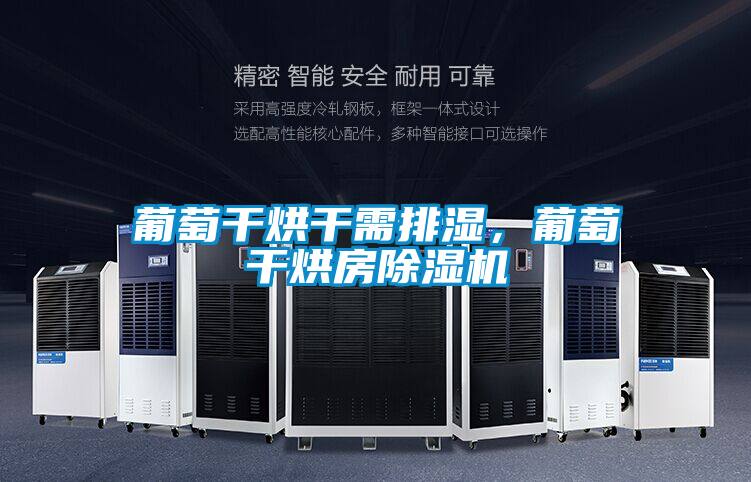 葡萄干烘干需排濕，葡萄干烘房除濕機