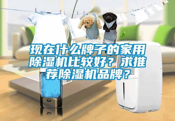 現在什么牌子的家用除濕機比較好？求推薦除濕機品牌？
