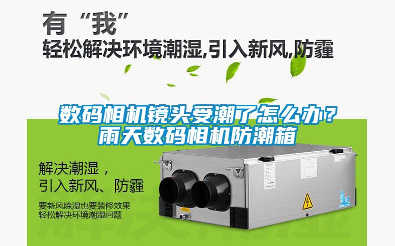 數碼相機鏡頭受潮了怎么辦？雨天數碼相機防潮箱