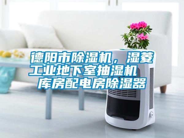 德陽市除濕機，濕菱工業地下室抽濕機  庫房配電房除濕器