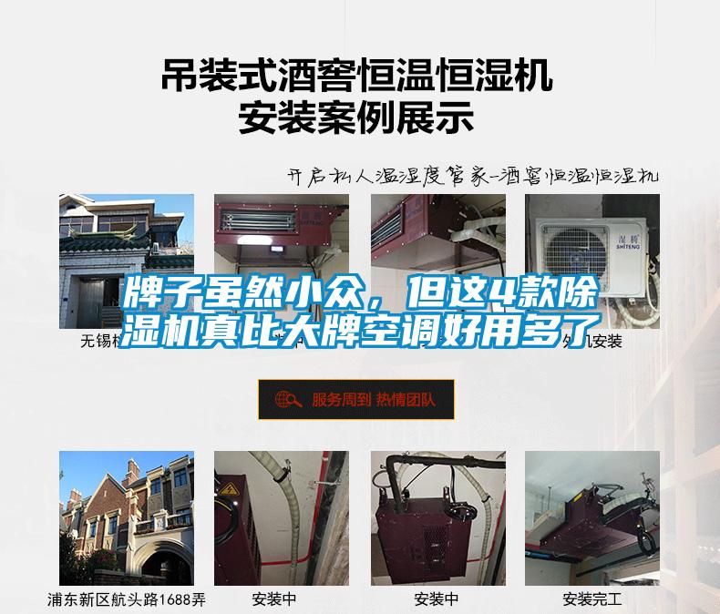 牌子雖然小眾，但這4款除濕機真比大牌空調好用多了