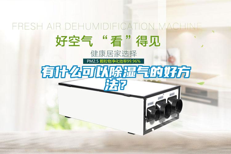 有什么可以除濕氣的好方法？