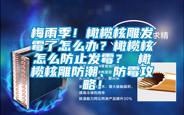 梅雨季！橄欖核雕發霉了怎么辦？橄欖核怎么防止發霉？ 橄欖核雕防潮、防霉攻略！