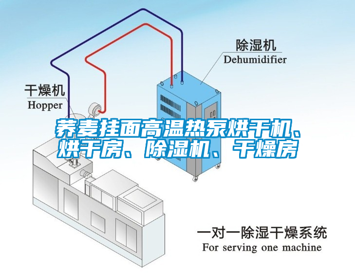 蕎麥掛面高溫熱泵烘干機、烘干房、除濕機、干燥房