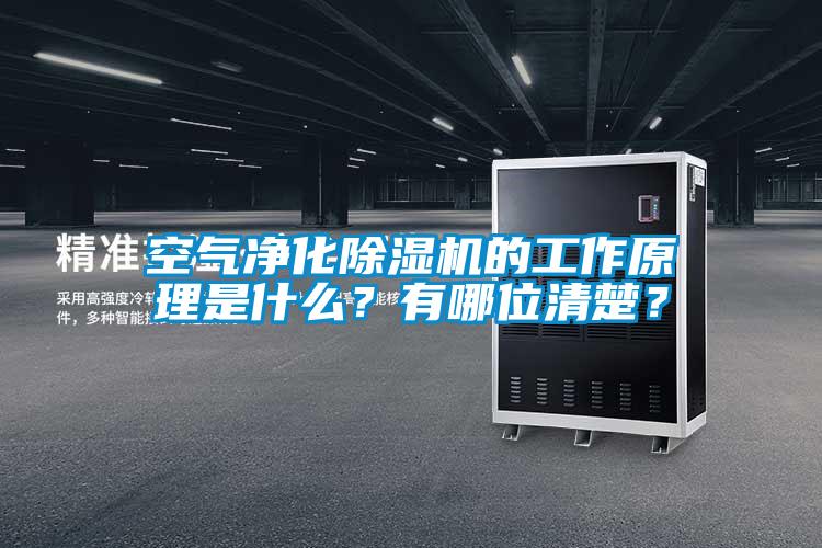 空氣凈化除濕機的工作原理是什么？有哪位清楚？