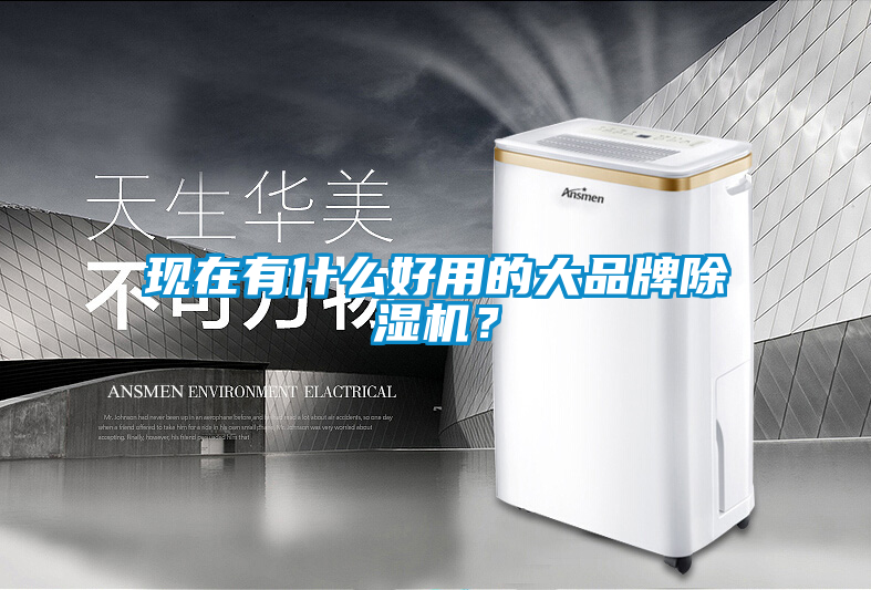 現在有什么好用的大品牌除濕機？
