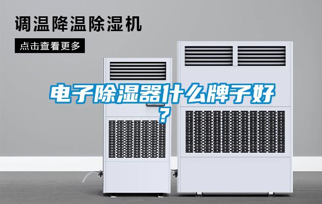 電子除濕器什么牌子好？