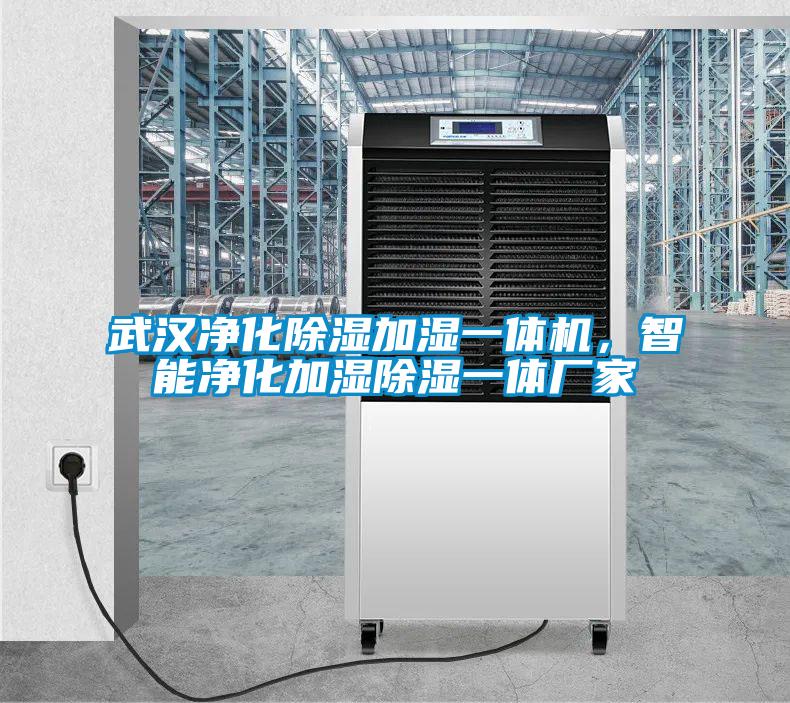 武漢凈化除濕加濕一體機，智能凈化加濕除濕一體廠家