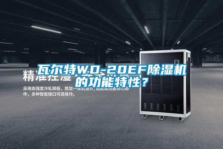 瓦爾特WD-20EF除濕機的功能特性？