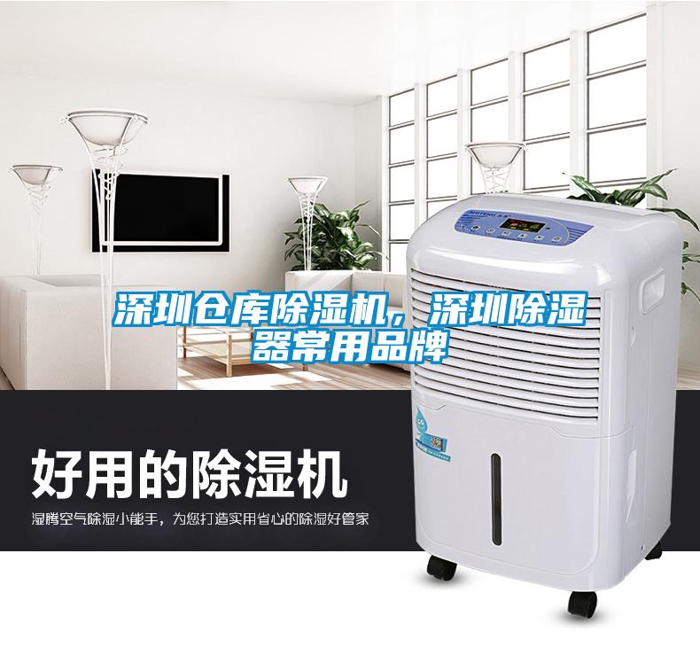 深圳倉庫除濕機，深圳除濕器常用品牌