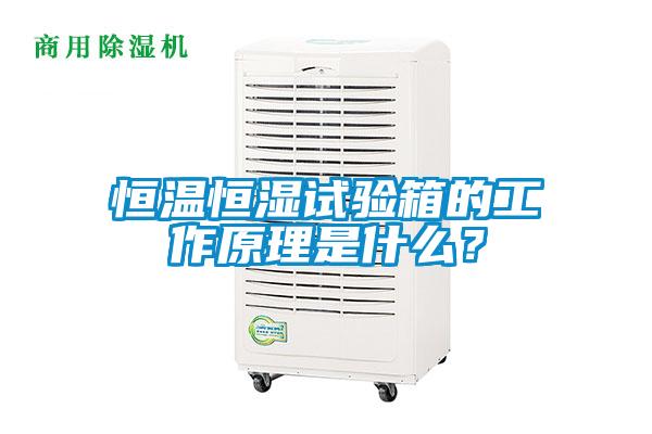 恒溫恒濕試驗箱的工作原理是什么？