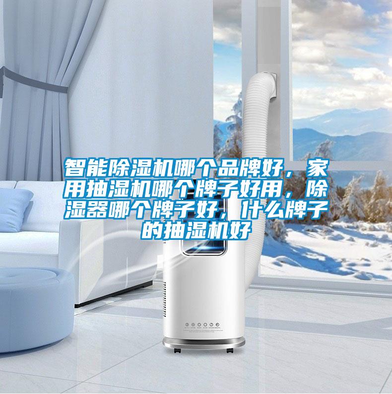 智能除濕機哪個品牌好，家用抽濕機哪個牌子好用，除濕器哪個牌子好，什么牌子的抽濕機好