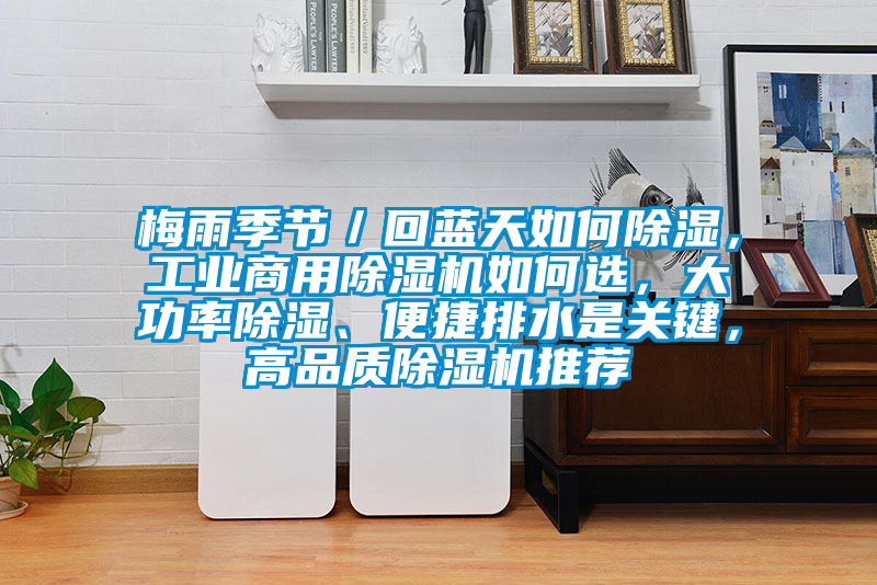 梅雨季節／回藍天如何除濕，工業商用除濕機如何選，大功率除濕、便捷排水是關鍵，高品質除濕機推薦