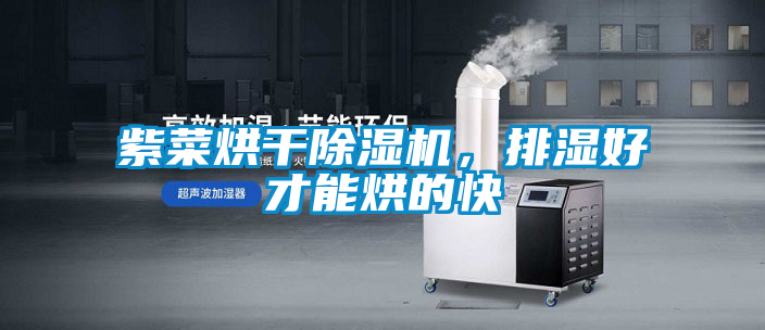 紫菜烘干除濕機，排濕好才能烘的快