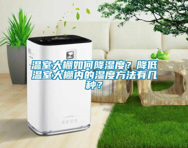 溫室大棚如何降濕度？降低溫室大棚內的濕度方法有幾種？