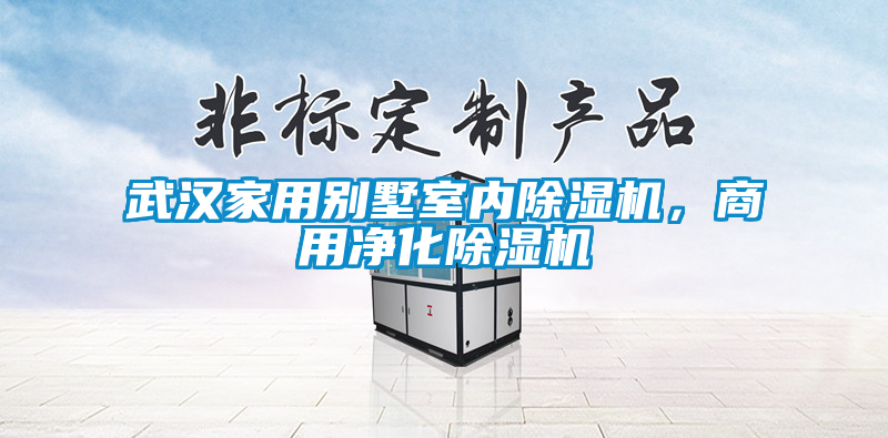 武漢家用別墅室內除濕機，商用凈化除濕機