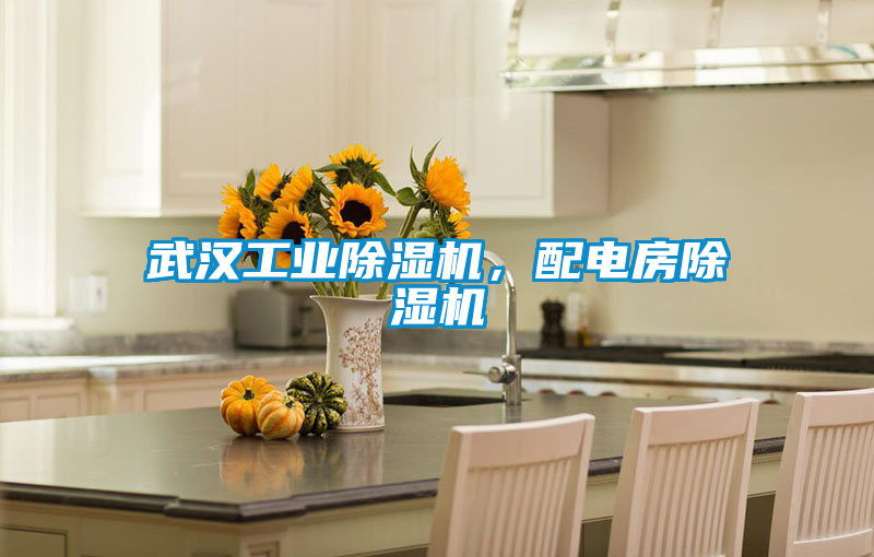 武漢工業除濕機，配電房除濕機