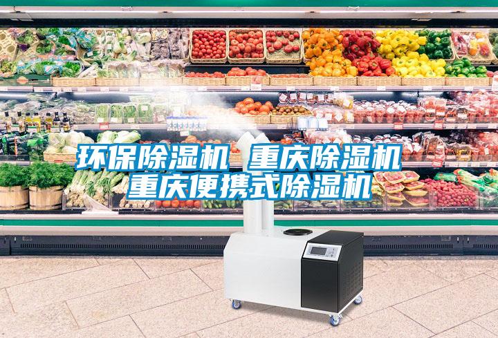 環保除濕機 重慶除濕機 重慶便攜式除濕機
