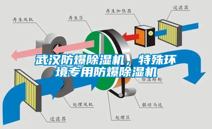 武漢防爆除濕機，特殊環境專用防爆除濕機