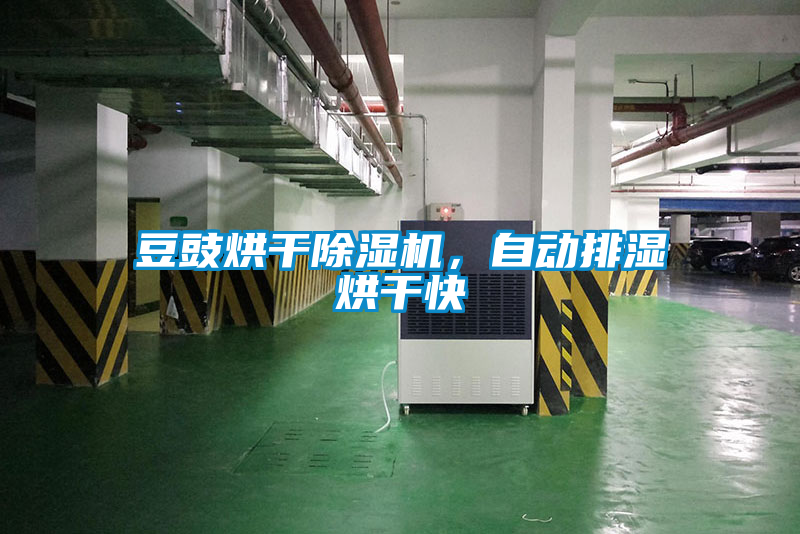 豆豉烘干除濕機，自動排濕烘干快