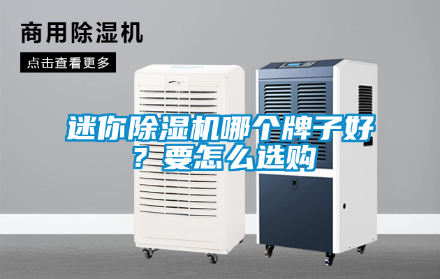 迷你除濕機哪個牌子好？要怎么選購