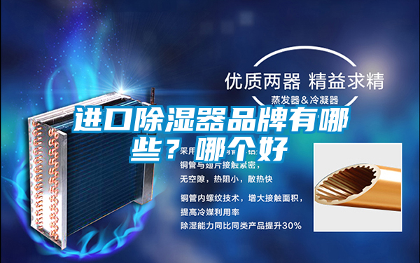 進口除濕器品牌有哪些？哪個好