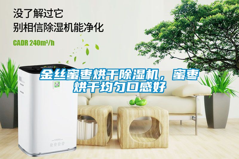 金絲蜜棗烘干除濕機，蜜棗烘干均勻口感好