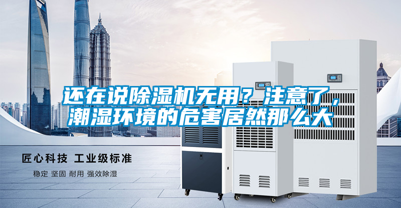 還在說除濕機無用？注意了，潮濕環境的危害居然那么大