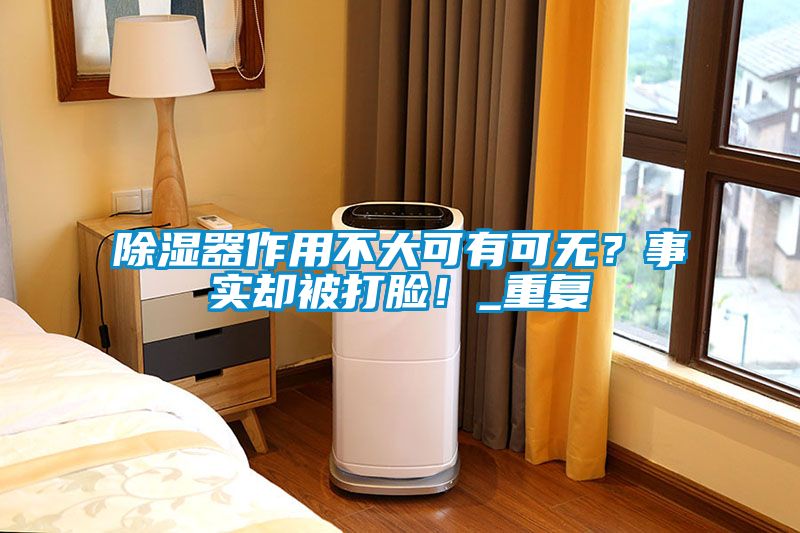 除濕器作用不大可有可無？事實卻被打臉！_重復