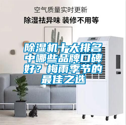 除濕機十大排名中哪些品牌口碑好？梅雨季節的最佳之選