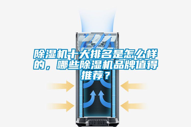 除濕機十大排名是怎么樣的，哪些除濕機品牌值得推薦？