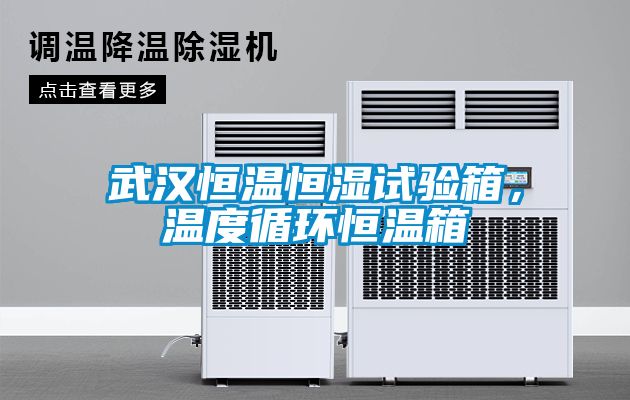 武漢恒溫恒濕試驗箱，溫度循環恒溫箱